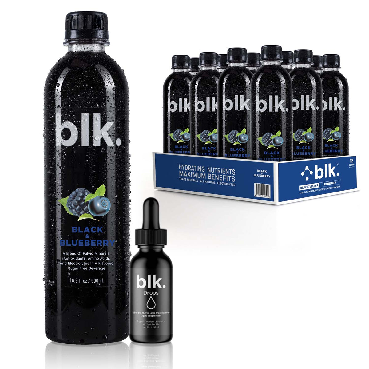 BLUEBERRY  12 PACK ＋ BLACK CLASSIC SHAKER BOTTLE (CARRY LOOP